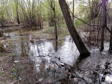 IMG 20210505 153806.jpg