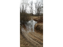 IMG 20210501 121646.jpg