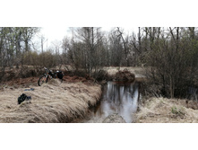 IMG 20210501 123553.jpg