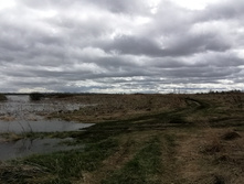 IMG 20210505 115629.jpg