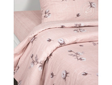 �������� ������.jpg