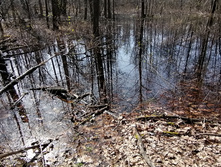 IMG 20210506 092326.jpg