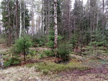 IMG 20210503 114709.jpg