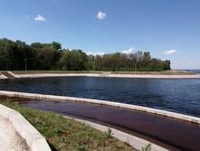 IMG 20210516 123201.jpg