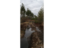 IMG 20210504 141447.jpg