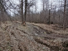 IMG 20210501 121334.jpg