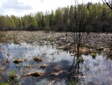 IMG 20210506 120351.jpg