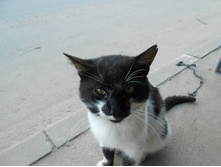 � ���� �����?