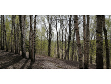 IMG 20210506 111437.jpg