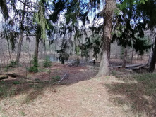 IMG 20210502 133212.jpg