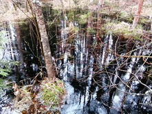 IMG 20210503 121516.jpg