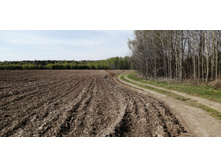 IMG 20210506 101325.jpg