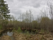 IMG 20210504 141145.jpg