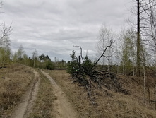 IMG 20210504 143442.jpg