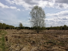 IMG 20210506 113841.jpg