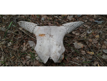 IMG 20210504 150144.jpg