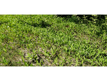 IMG 20210529 110917.jpg