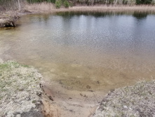 IMG 20210504 122350.jpg