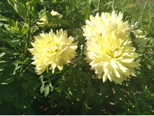 ������� ������. ���� �.