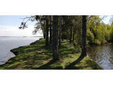 IMG 20210516 112247.jpg