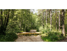 IMG 20210529 112019.jpg