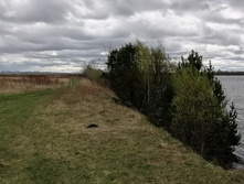 IMG 20210505 115913.jpg