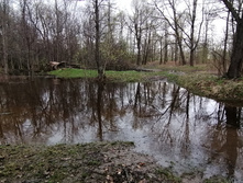 IMG 20210509 125215.jpg