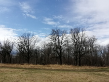 IMG 20210501 124634.jpg