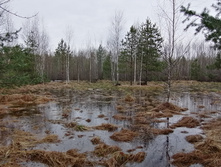 IMG 20210503 133145.jpg