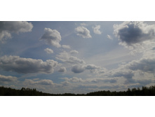 IMG 20210506 121356.jpg