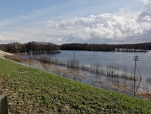 IMG 20210501 101518.jpg