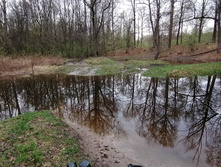 IMG 20210509 124921.jpg