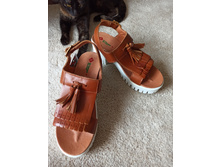 �����, 800 ���, ElTempo, ���. ����, ������� 25��