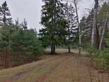 IMG 20210503 114021.jpg