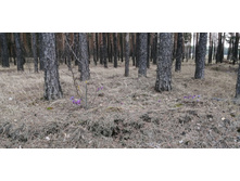 IMG 20210502 125833.jpg