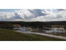 IMG 20210501 102815.jpg