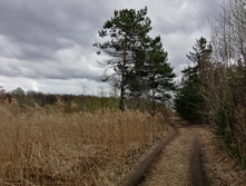 IMG 20210501 135532.jpg