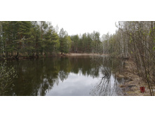 IMG 20210504 130444.jpg