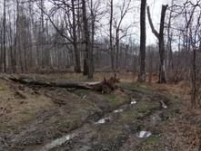 IMG 20210501 114335.jpg