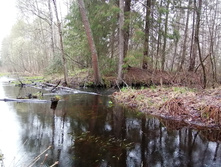 IMG 20210503 123940.jpg