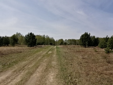 IMG 20210506 110534.jpg