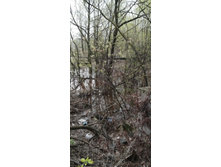 IMG 20210501 094230.jpg