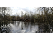 IMG 20210501 111346.jpg