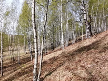 IMG 20210506 111815.jpg