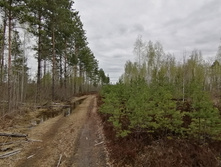 IMG 20210504 141633.jpg