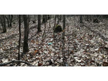 IMG 20210506 092617.jpg