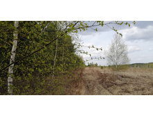 IMG 20210506 120915.jpg