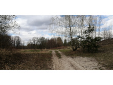 IMG 20210501 133550.jpg