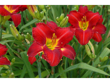 �������� ������ �����