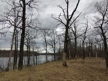 IMG 20210501 115457.jpg